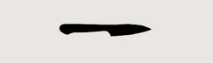 Paring Knife