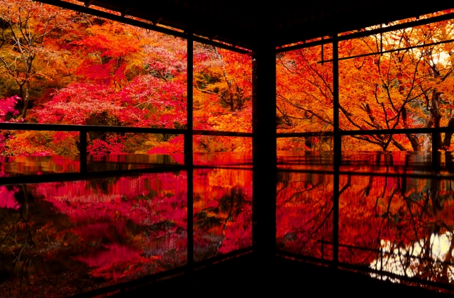 Autumn foliage in Japan