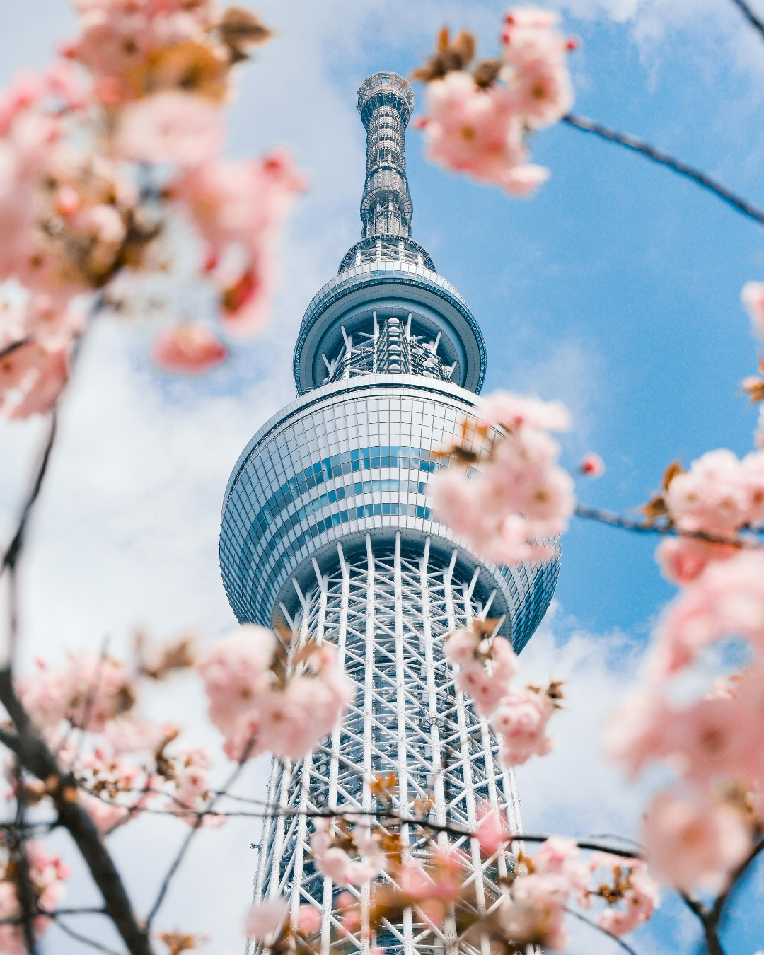 Tokyo Skytree seen from a nearby viewpoint